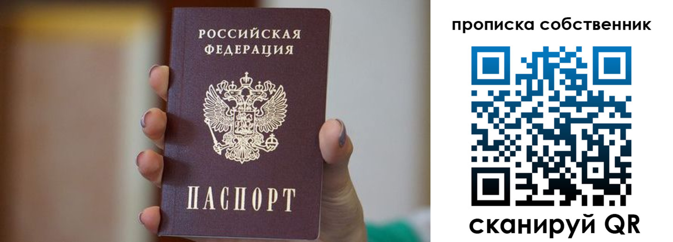 прописка поиск в Александрове